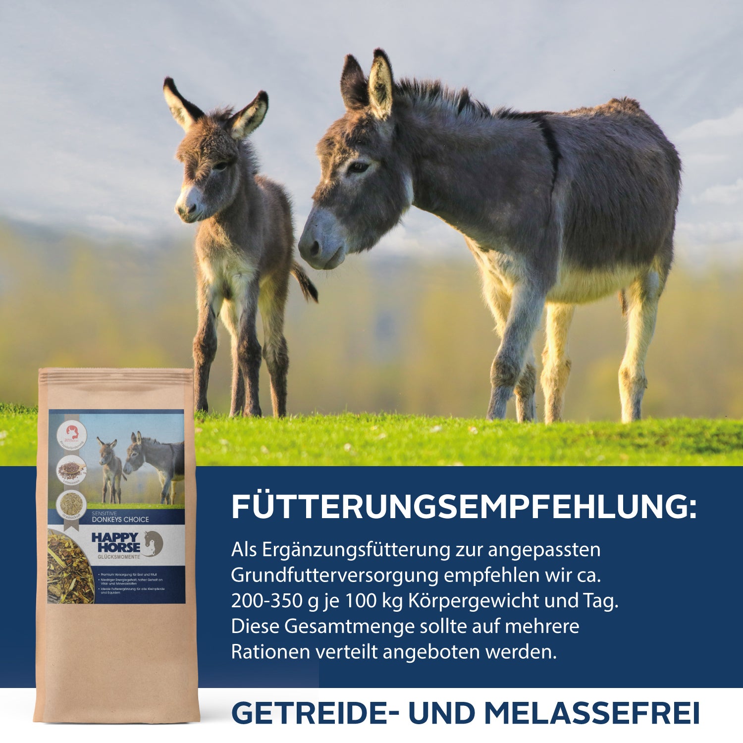 Sensitive Donkeys Choice  für Esel, Mulis und Maulesel
