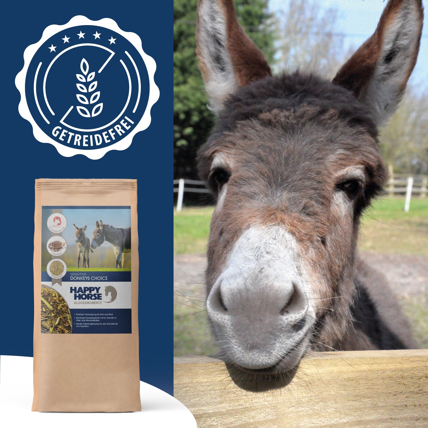 Sensitive Donkeys Choice  für Esel, Mulis und Maulesel