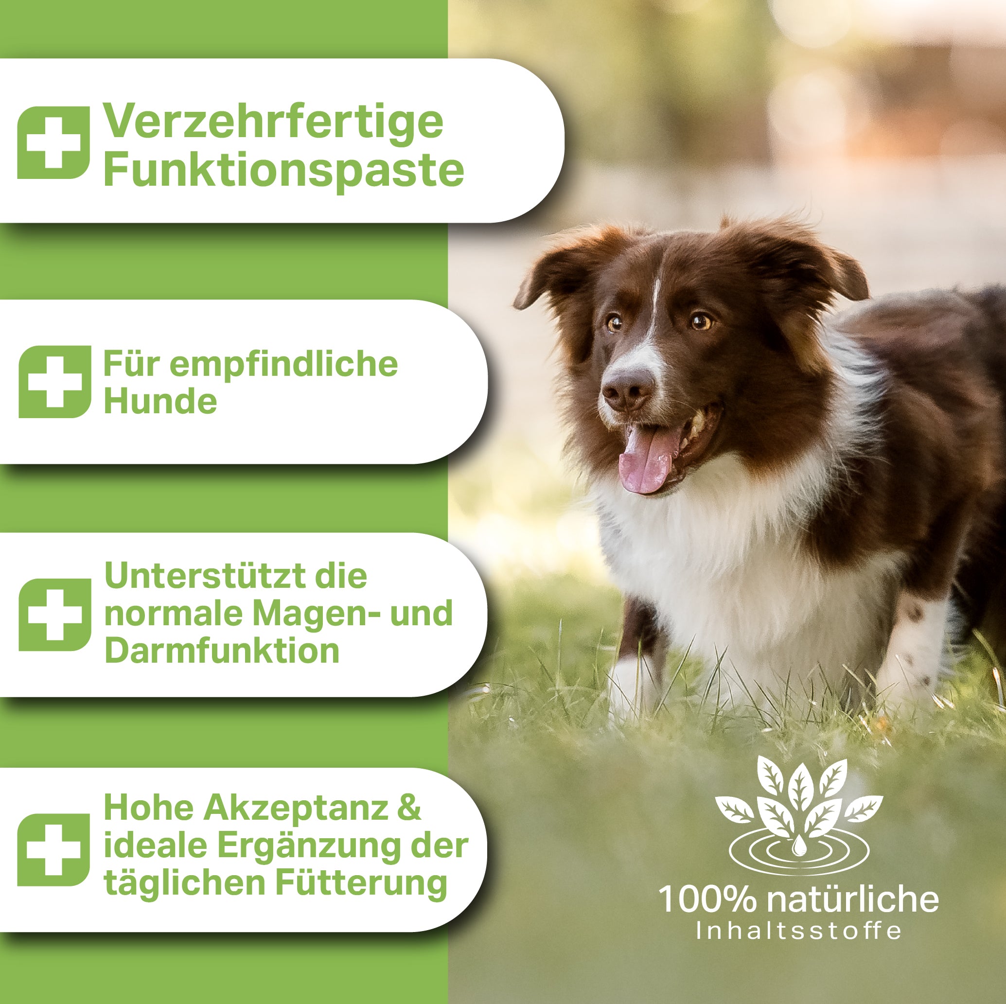 Medidog Ulmenrinden Paste 500 g