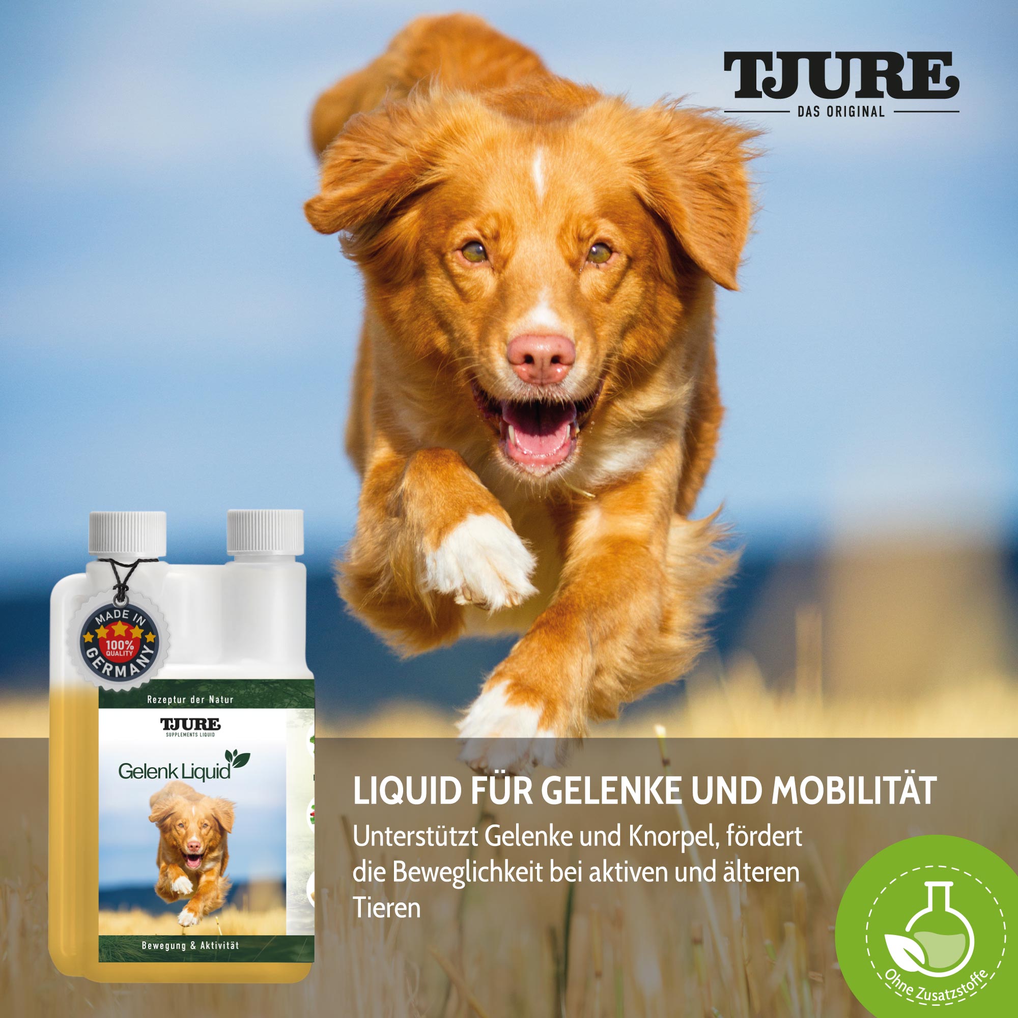 TJURE - Gelenk Liquid - 1000 ml | optimale Unterstützung für die Gelenke | Kräftigung der Gelenkfunktionen |