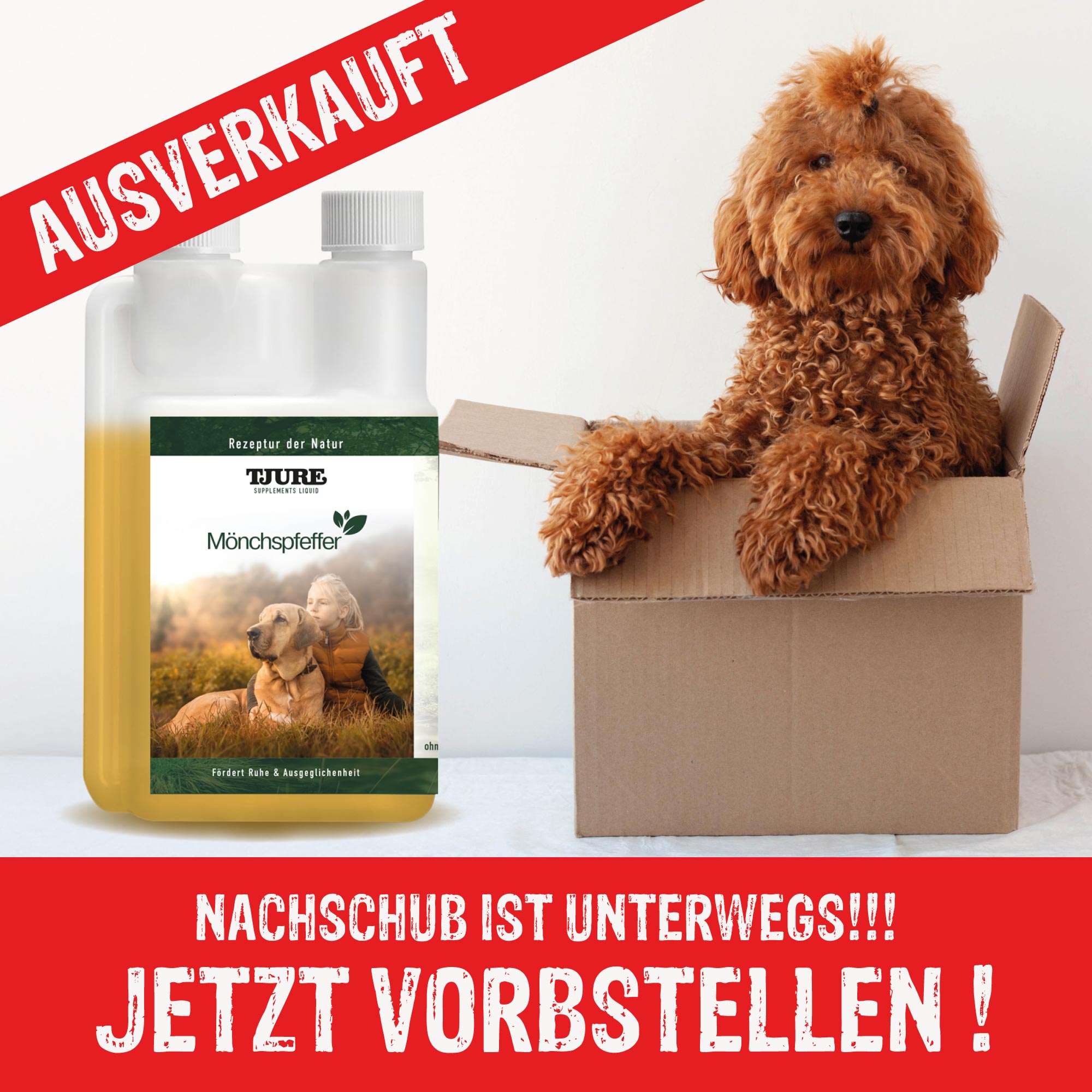 Tiergewinnt