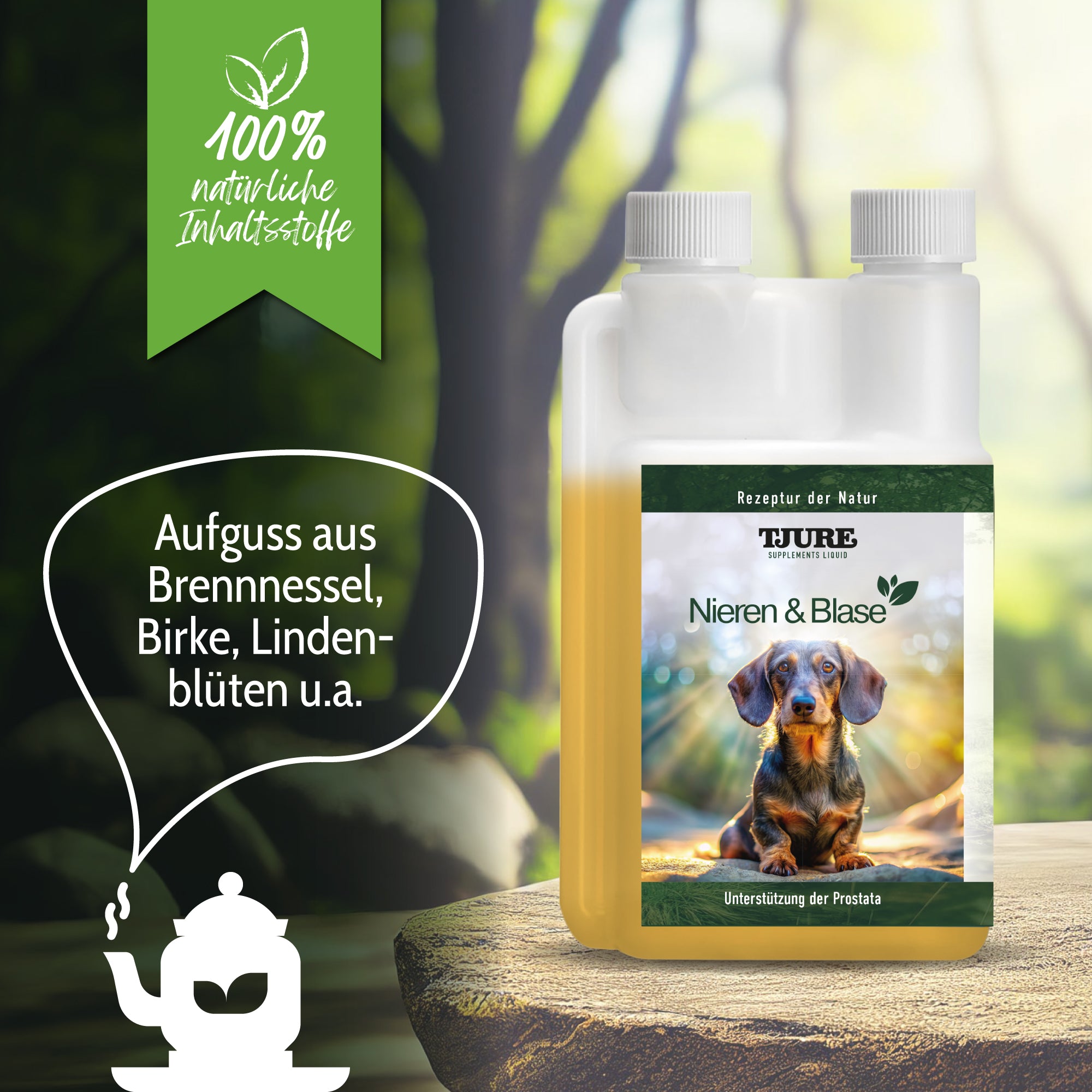 TJURE - Nieren & Blasen Liquid - Dosierflasche