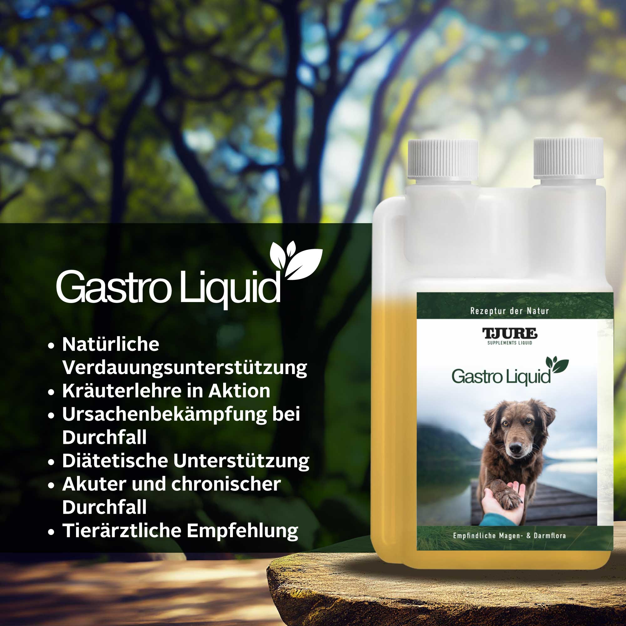 TJURE - Gastro Bundle | Tabs 250 g + 500ml Gastro Liquid  | Für den Gesunden Magen und Darm