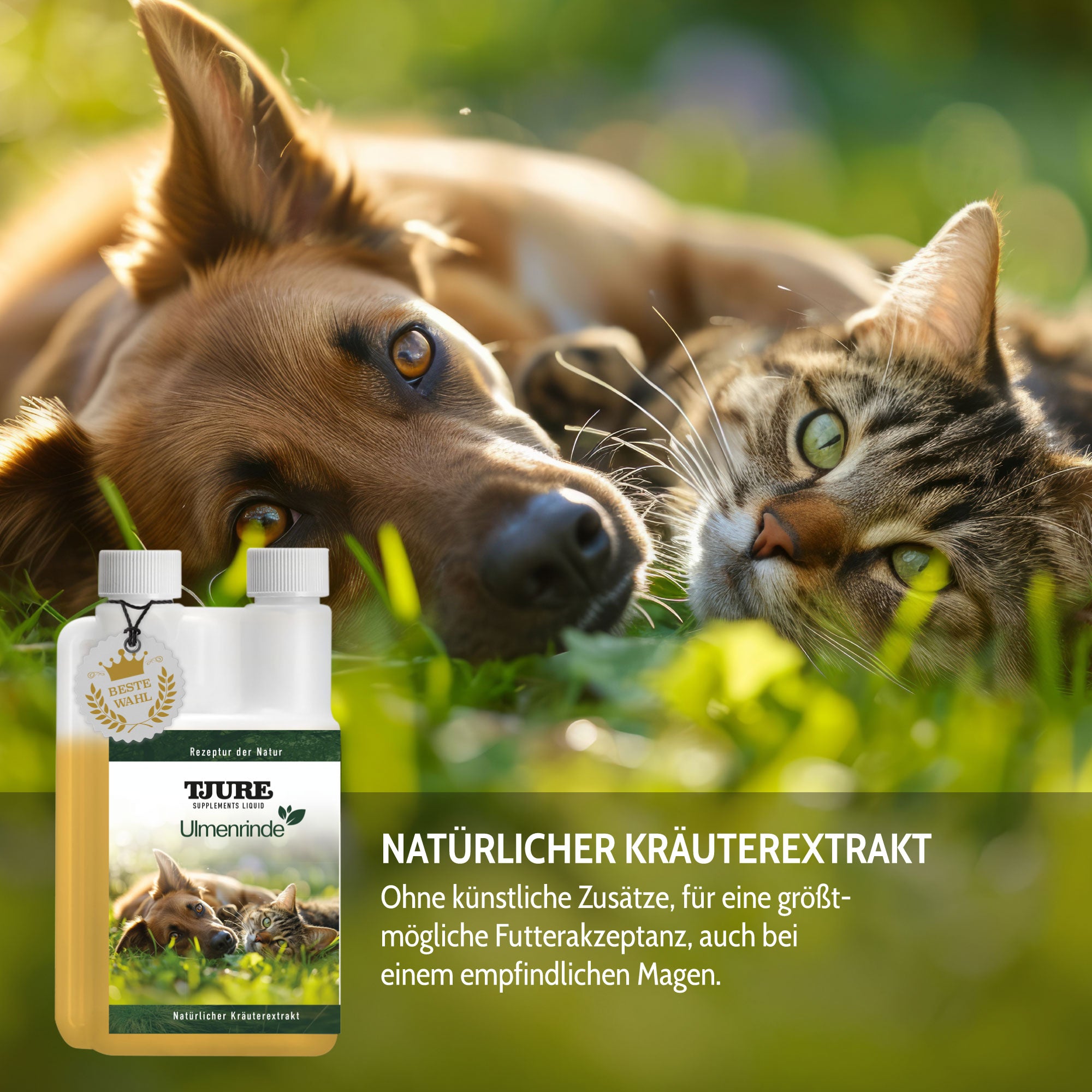 Tiergewinnt
