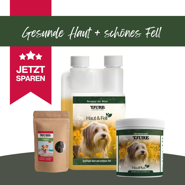 Haut & Fell Bundle – Strahlendes Fell. Spürbare Pflege. Sichtbare Qualität