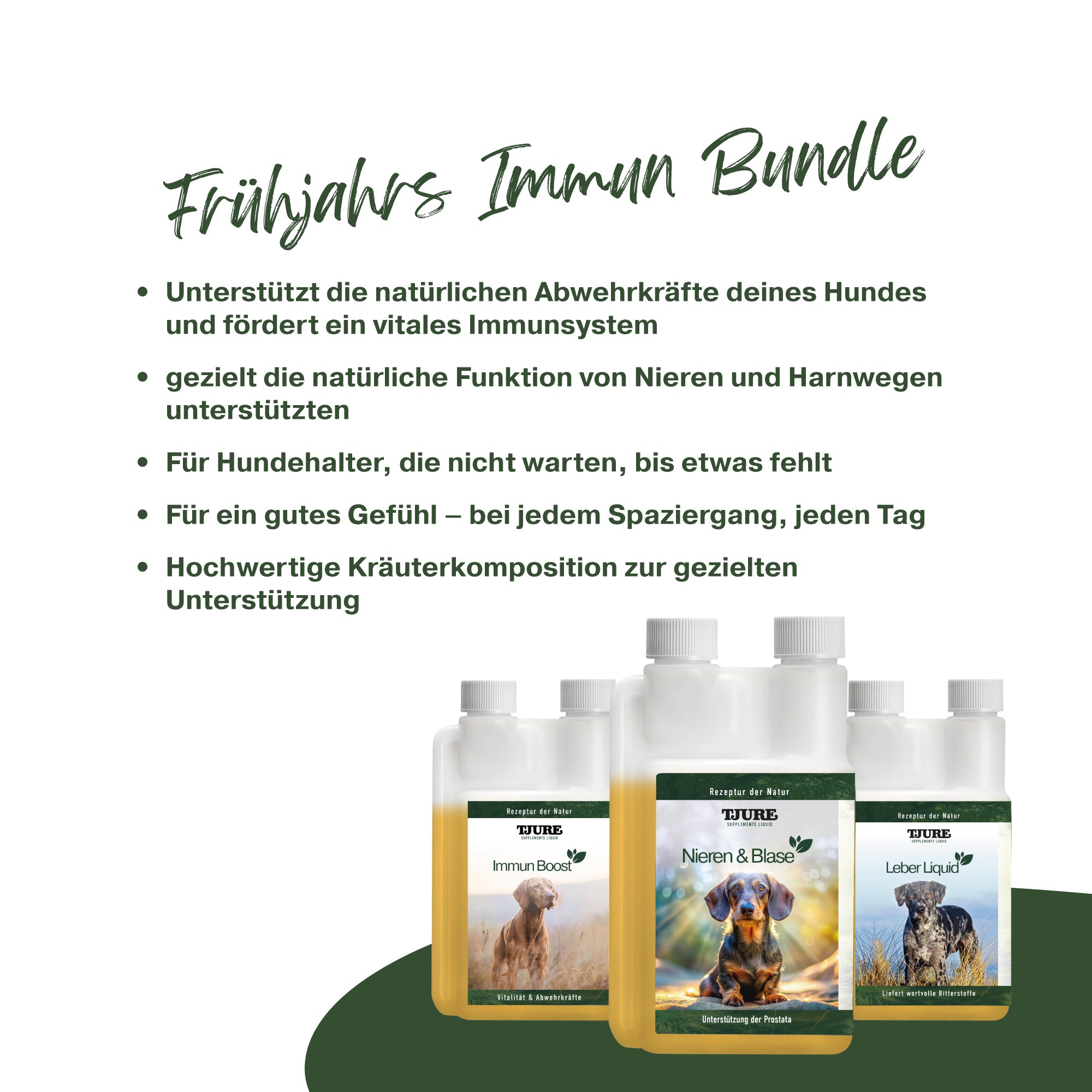Frühjahrs Immun Bundle – Ganzheitliche Premium-Unterstützung für deinen Hund
