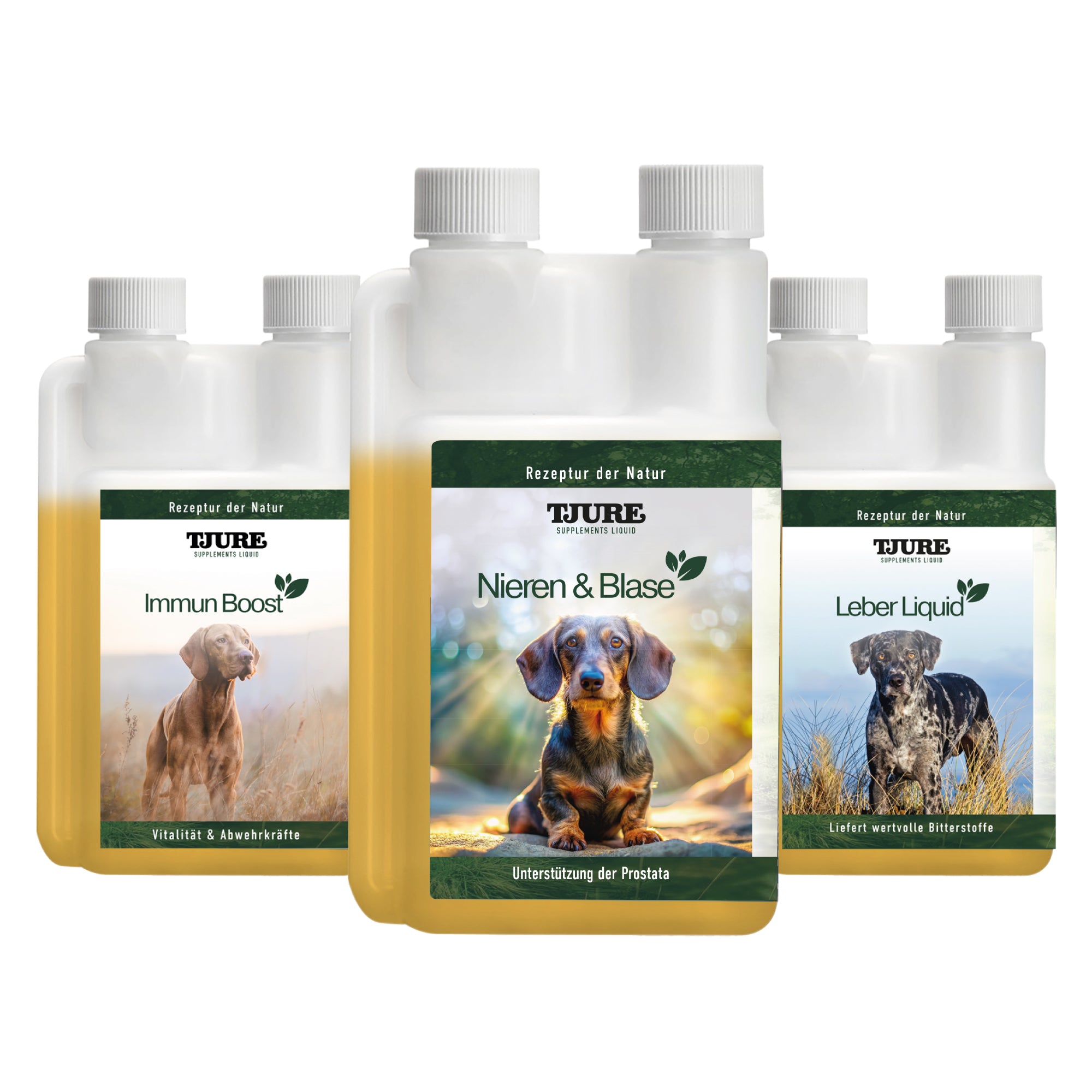 Frühjahrs Immun Bundle – Ganzheitliche Premium-Unterstützung für deinen Hund