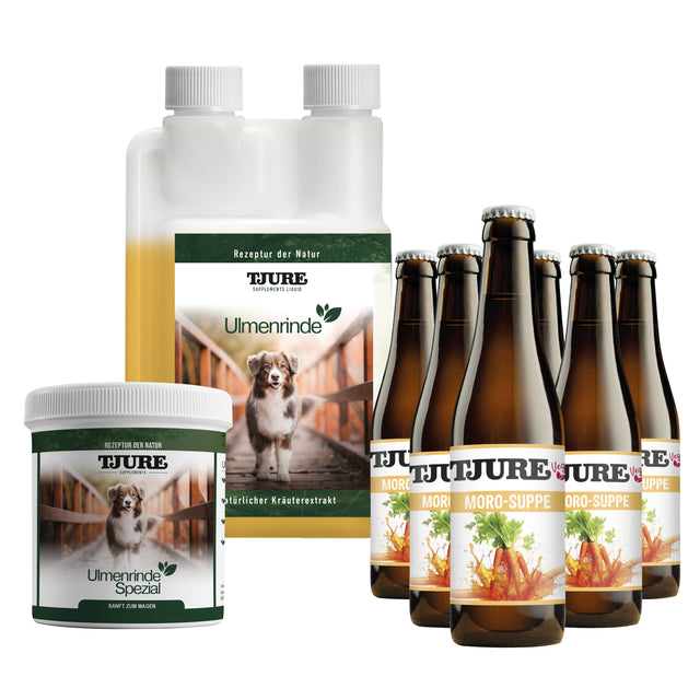 Magen & Darm Set - Für ein starkes, entspanntes Bauchgefühl – Tag für Tag
