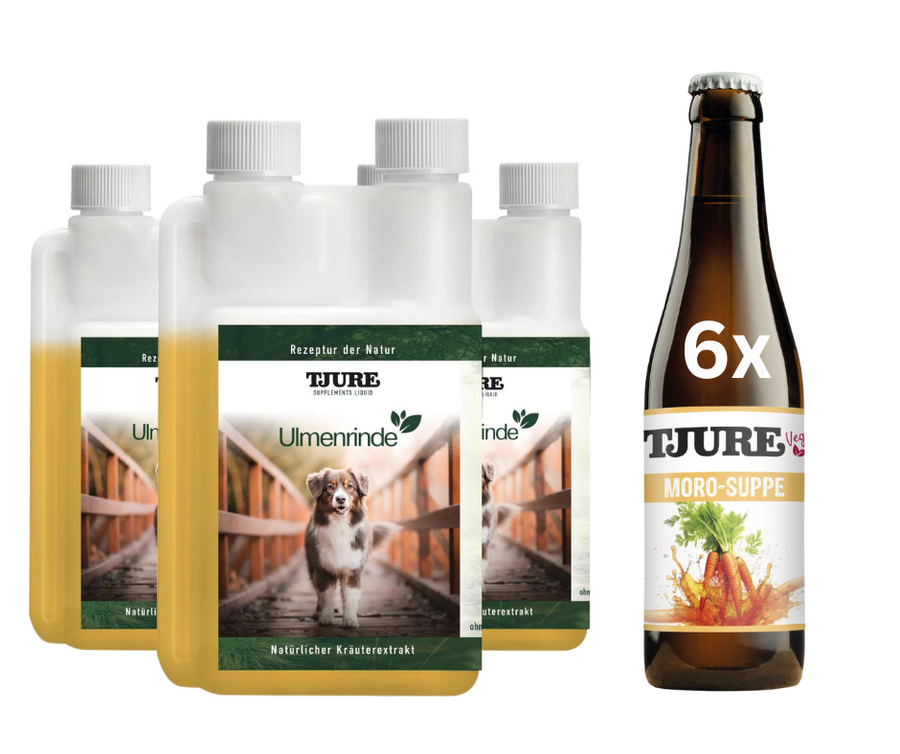 TJURE - Notfall - Set  (TJURE Ulmenrinde 3x500 ml + 6 x Möhrensuppe)