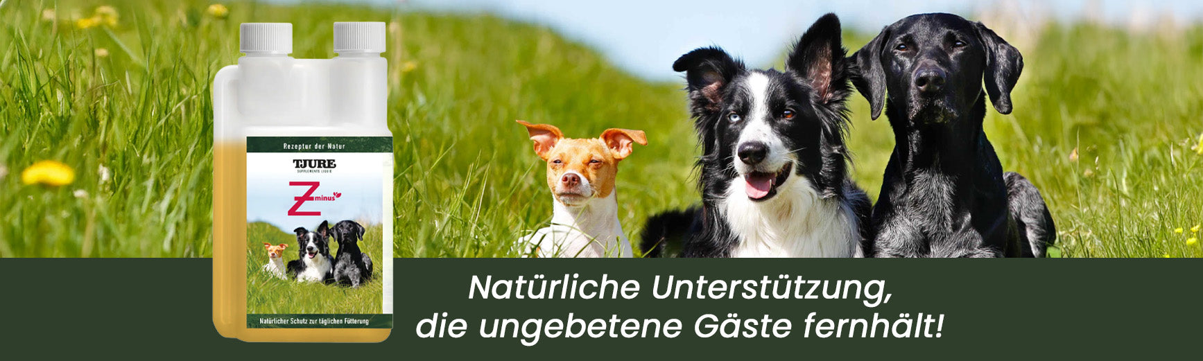 Tiergewinnt