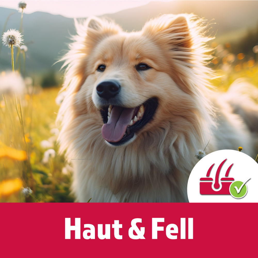 TJURE - Haut & Fell Tabs 250 g