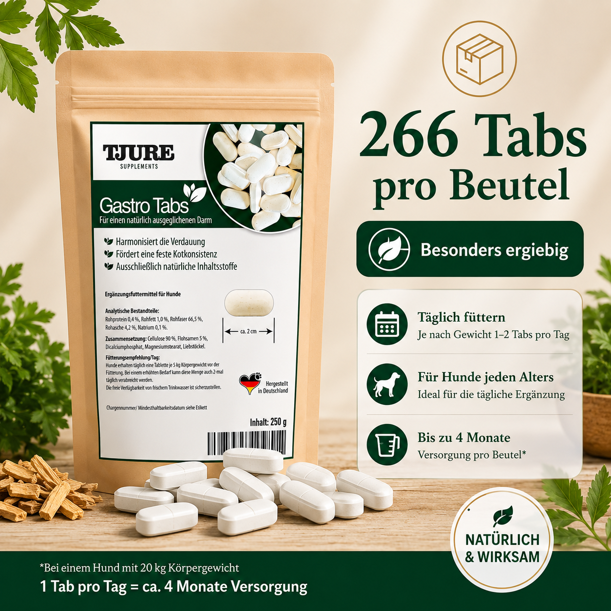 TJURE - Gastro Tabs 250 g | For a Healthy Stomach and Intestines