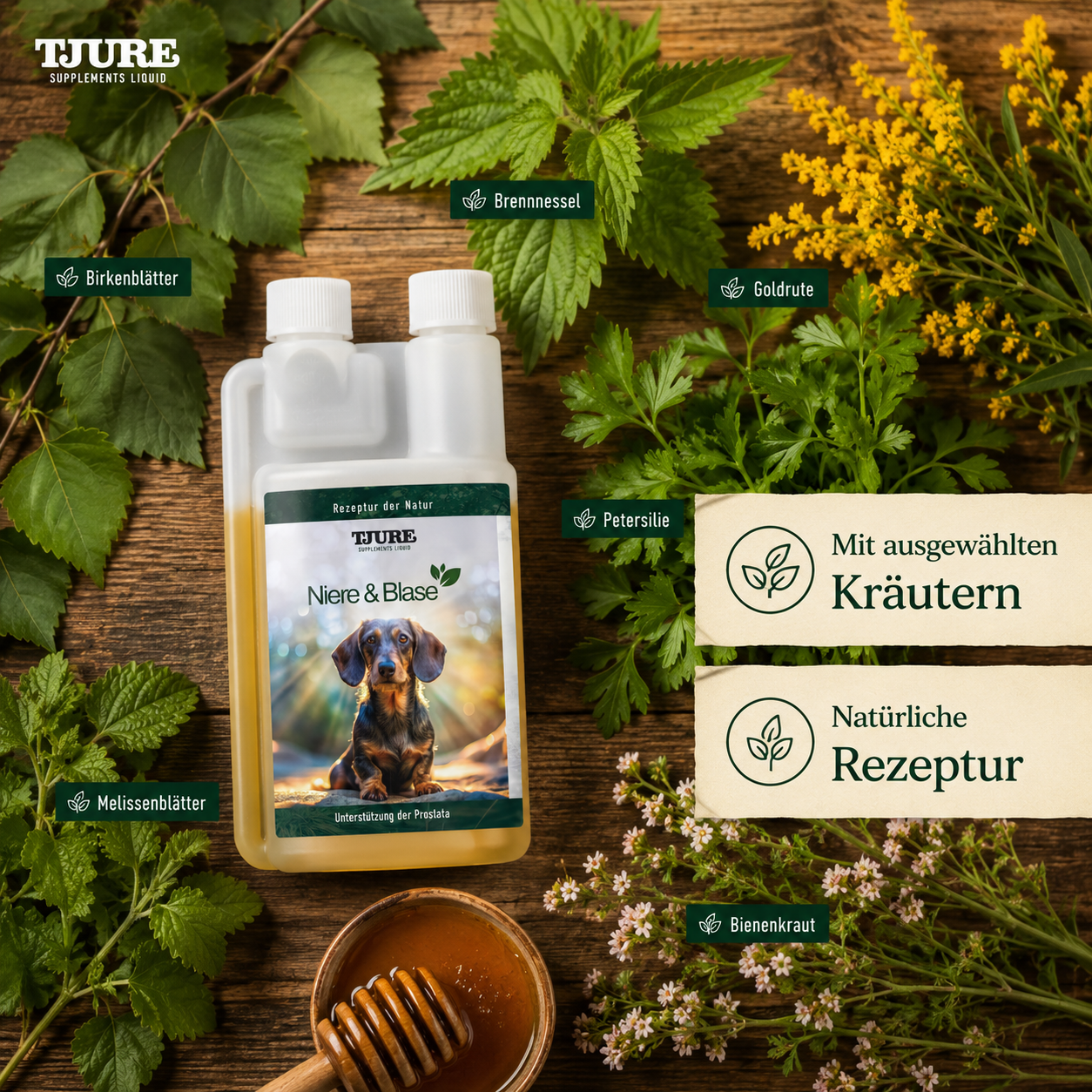 TJURE - Nieren & Blasen Liquid - Dosierflasche
