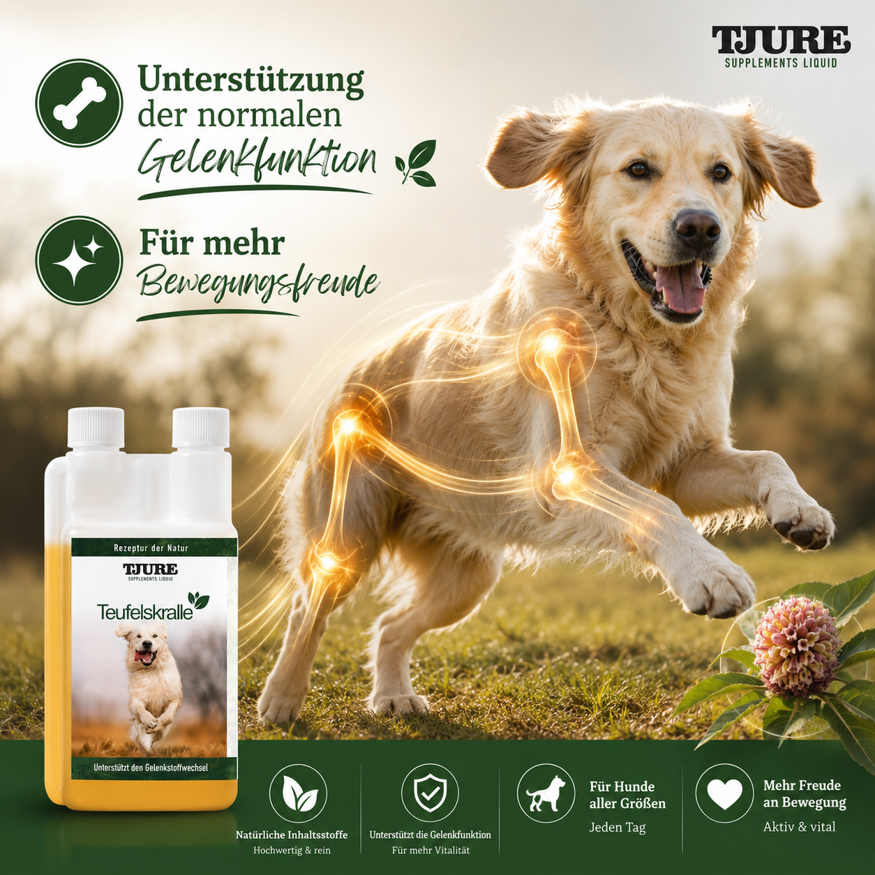 TJURE - Teufelskralle Liquid 1000 ml  | So fördert man Gelenkbeweglichkeit | Entzündungshemmend |