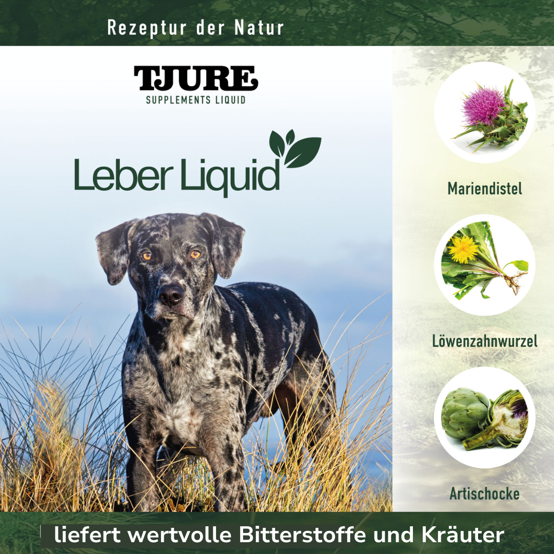 TJURE - Leber Liquid - 1000 ml | liefert deinem Hund wertvolle Bitterstoffe und Kräuter